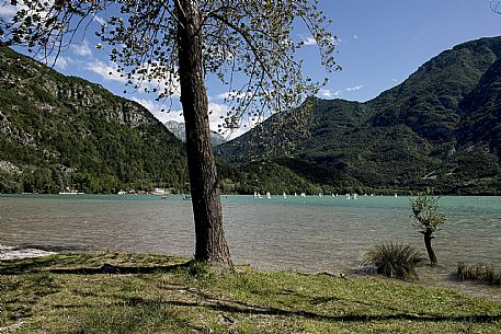 Mini Yacht race at Cavazzo lake